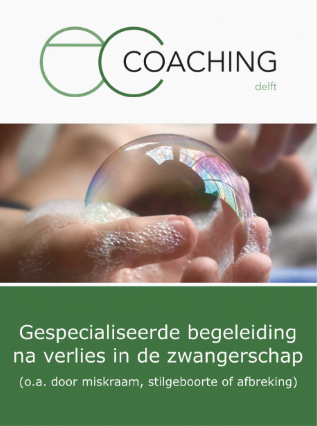 Flyer EC Coaching Delft